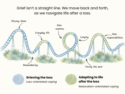 Emotional rollercoaster illustration showing the Dual Process Model of Grief, with movement between loss-oriented and restoration-oriented coping.